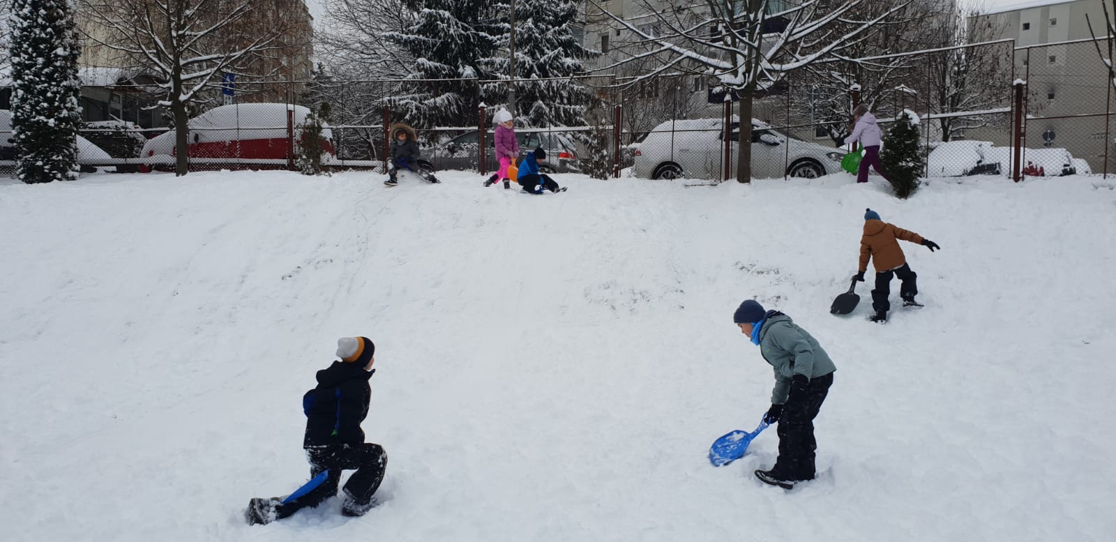 Activități și evenimente
