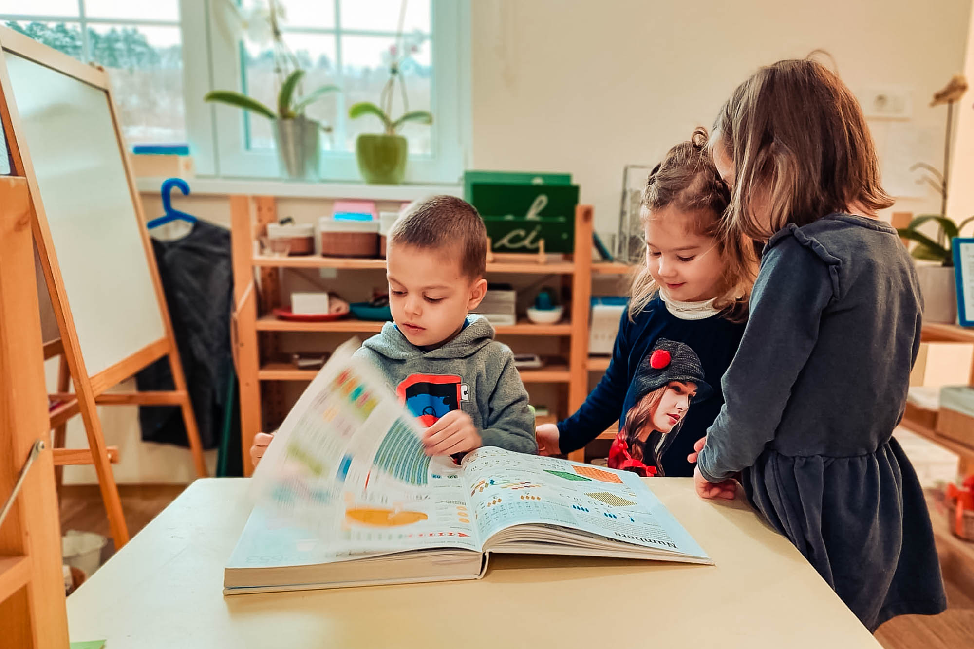 Teofil de pe telefon Alisia si Alithea_005 1