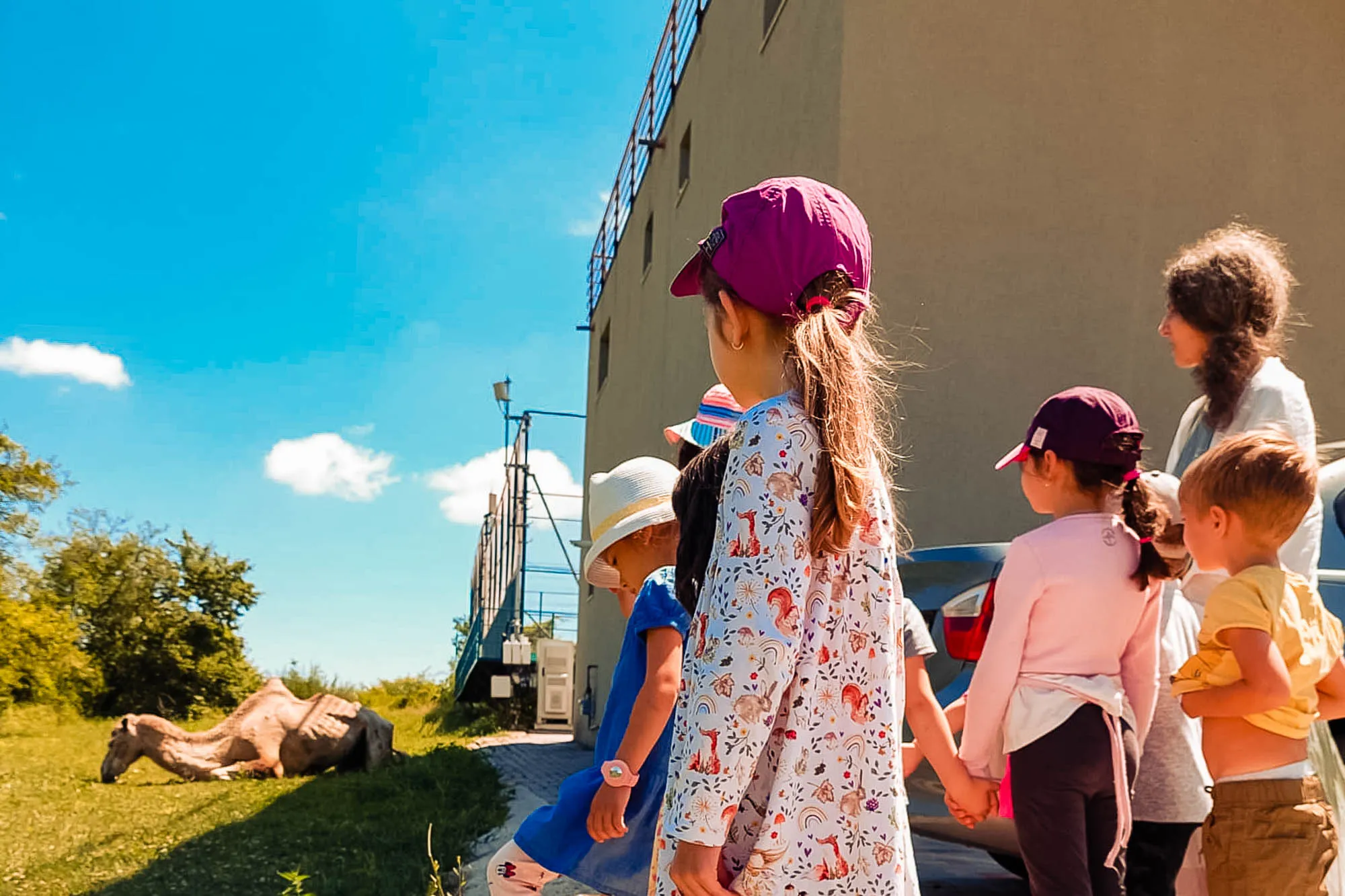 Teofil de pe telefon Alisia si Alithea_023