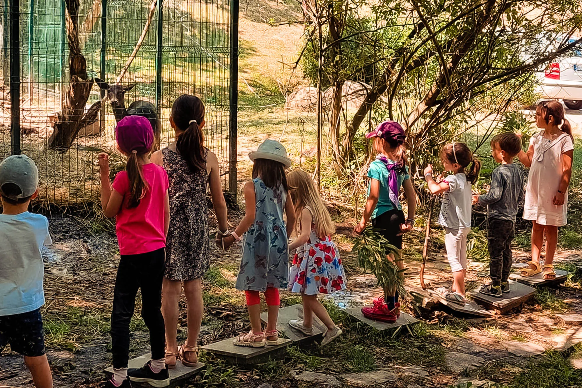 Teofil de pe telefon Alisia si Alithea_026