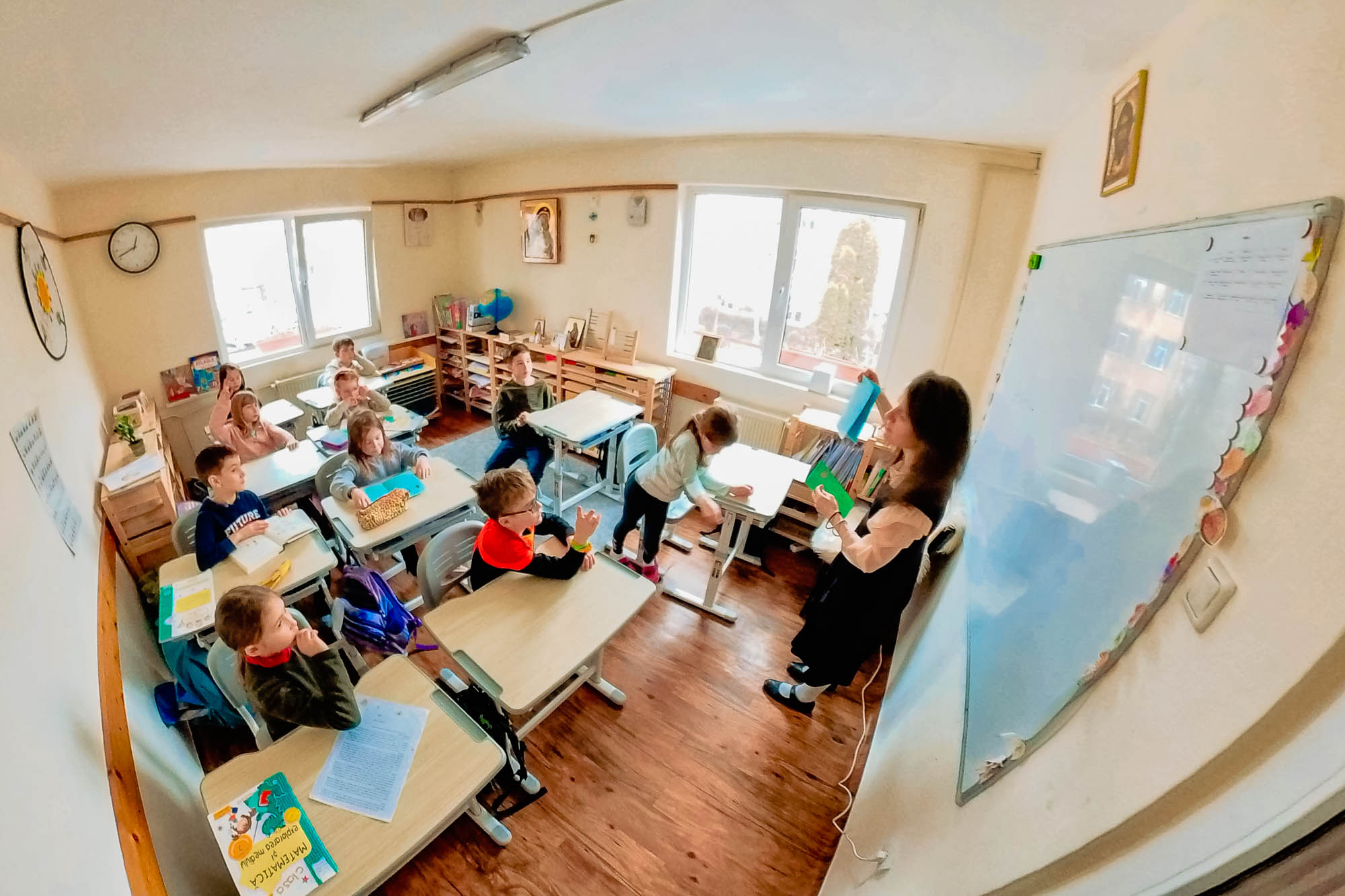 Proiecte educaționale